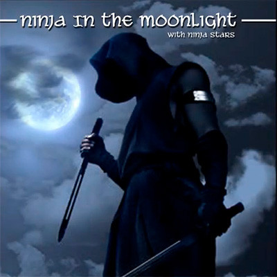 Mista Marco, Block & LB Boogie - Ninja in the moonlight
Udgivet af Blodense Records